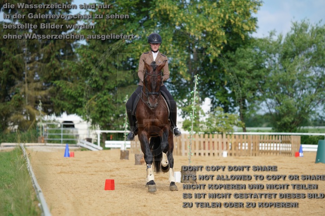s_K3F05389.JPG